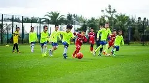 欧亿体育 产品 134642 sx7